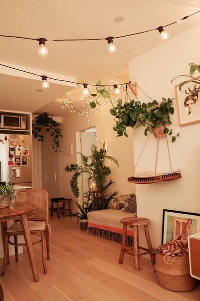 Brown wooden desk green indoor plants
